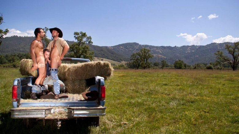 Cowboys Collection
