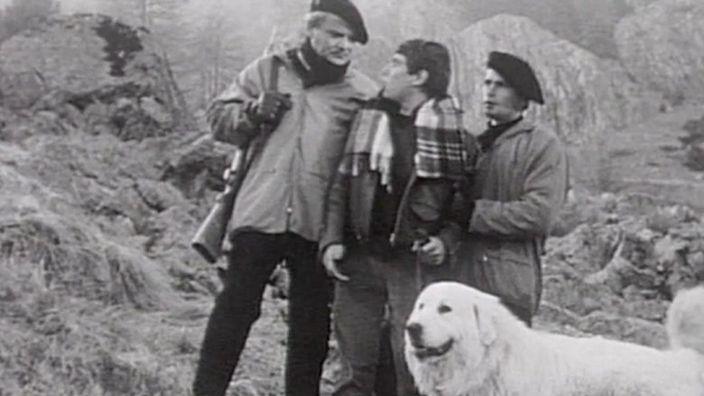 Still image for Belle et Sébastien season 1 episode 7: Episode 7