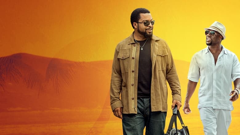 Ride Along 2 streaming