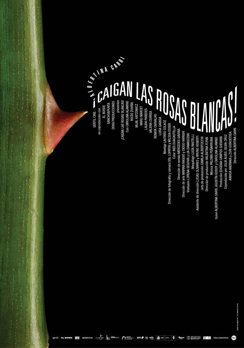 Imatge de ¡Caigan las rosas blancas!