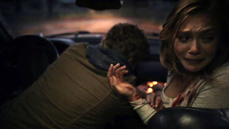 Image d'arrière-plan 10 du film Silent House