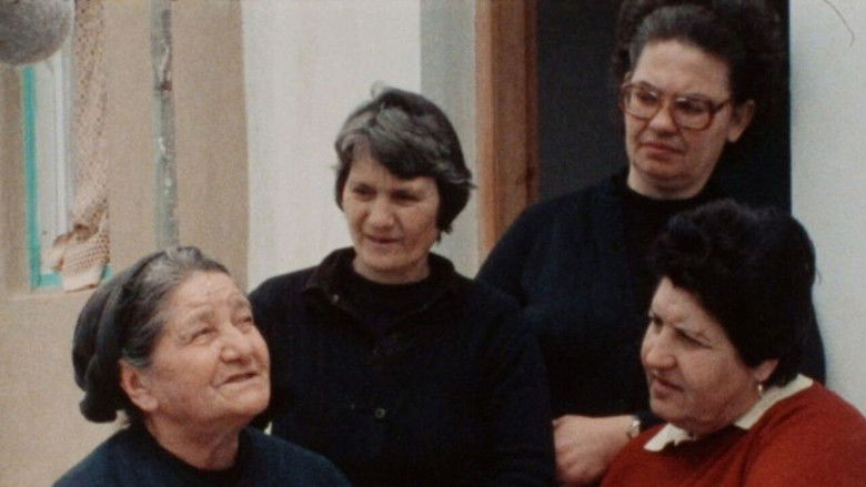 Gallery image from cp8whM6LIUlb1ujlrdlrodUUIVc.jpg