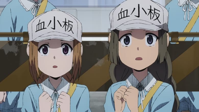 Assistir Hataraku Saibou Black Episódio 4 Online - Animes BR