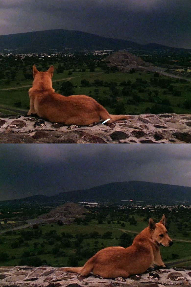 Imatge de mexico diary