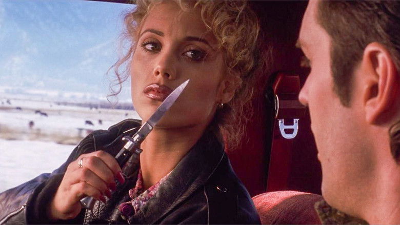 Cpnnvs85xrwzbgf0o2exle3ast9