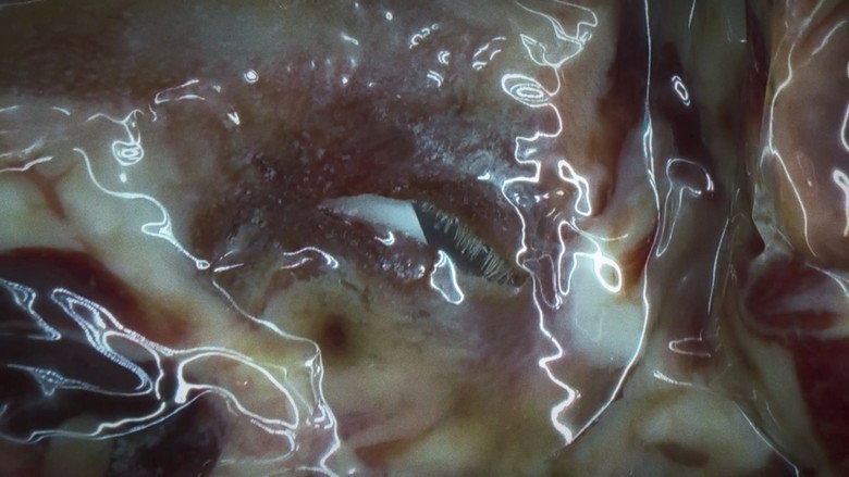 Gallery image from cpZhO2DnPqOZ8TCZGdbUVgWxby8.jpg