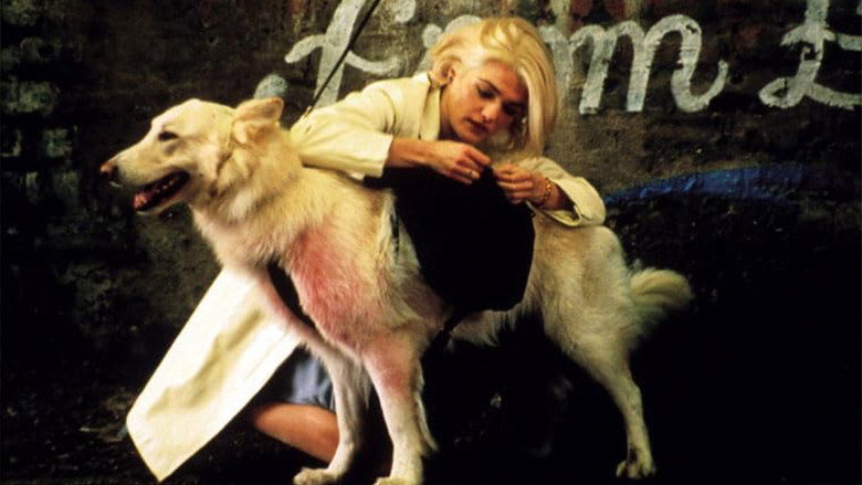 Beautiful Creatures image 12