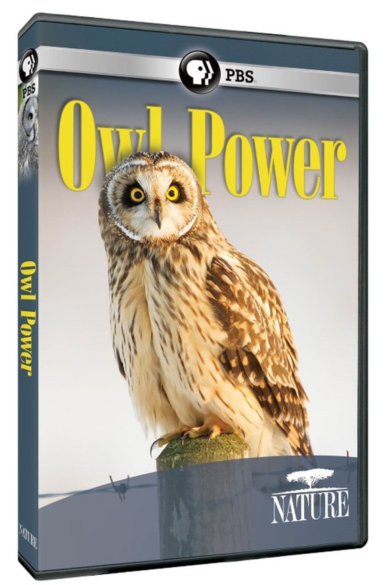 Owl Power main poster