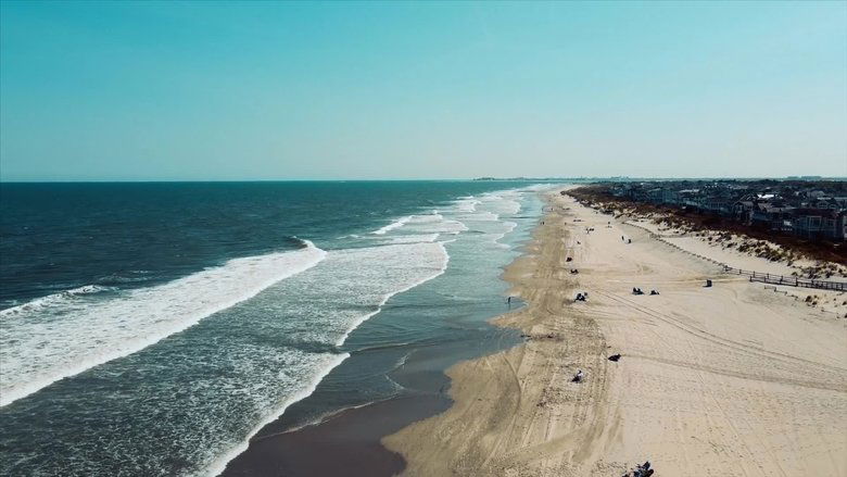 Still image for When Sharks Attack... and Why season 1 episode 1: New York Nightmare Still image for When Sharks Attack... and Why season 1 episode 1: New York Nightmare