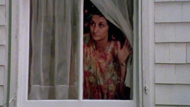 Gallery image from cra5H0rMG2yRseEk2S4ZW7lTD5c.jpg