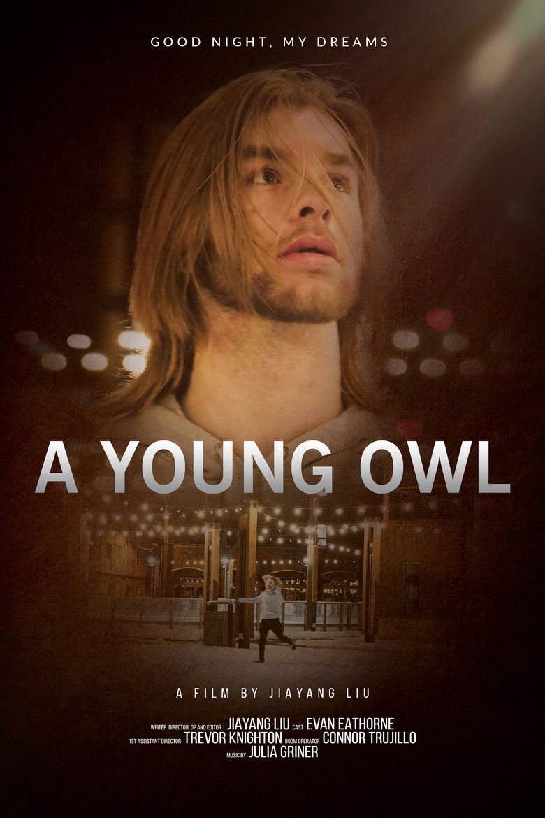 Imatge de A Young Owl