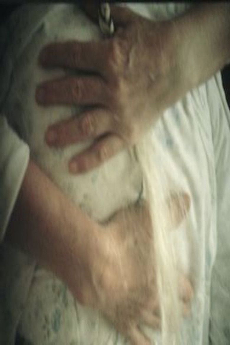 Imatge de Der Schmetterling im Winter