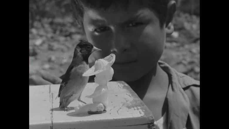 Gallery image from ctzmmODmVsyLgQExEFqn4LpUXN7.jpg