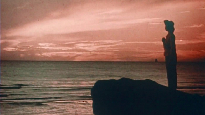 Gallery image from cumDfA6xnH6CYIfMn6tP3SQqdES.jpg