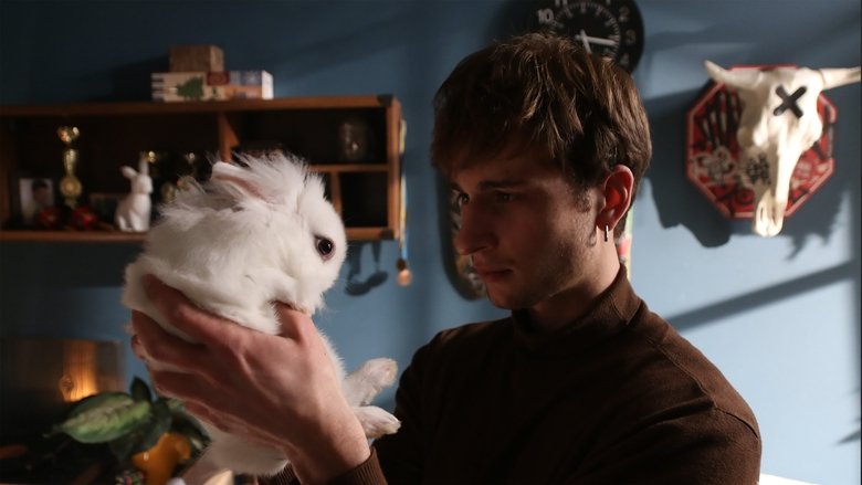 Animals in War (2025)