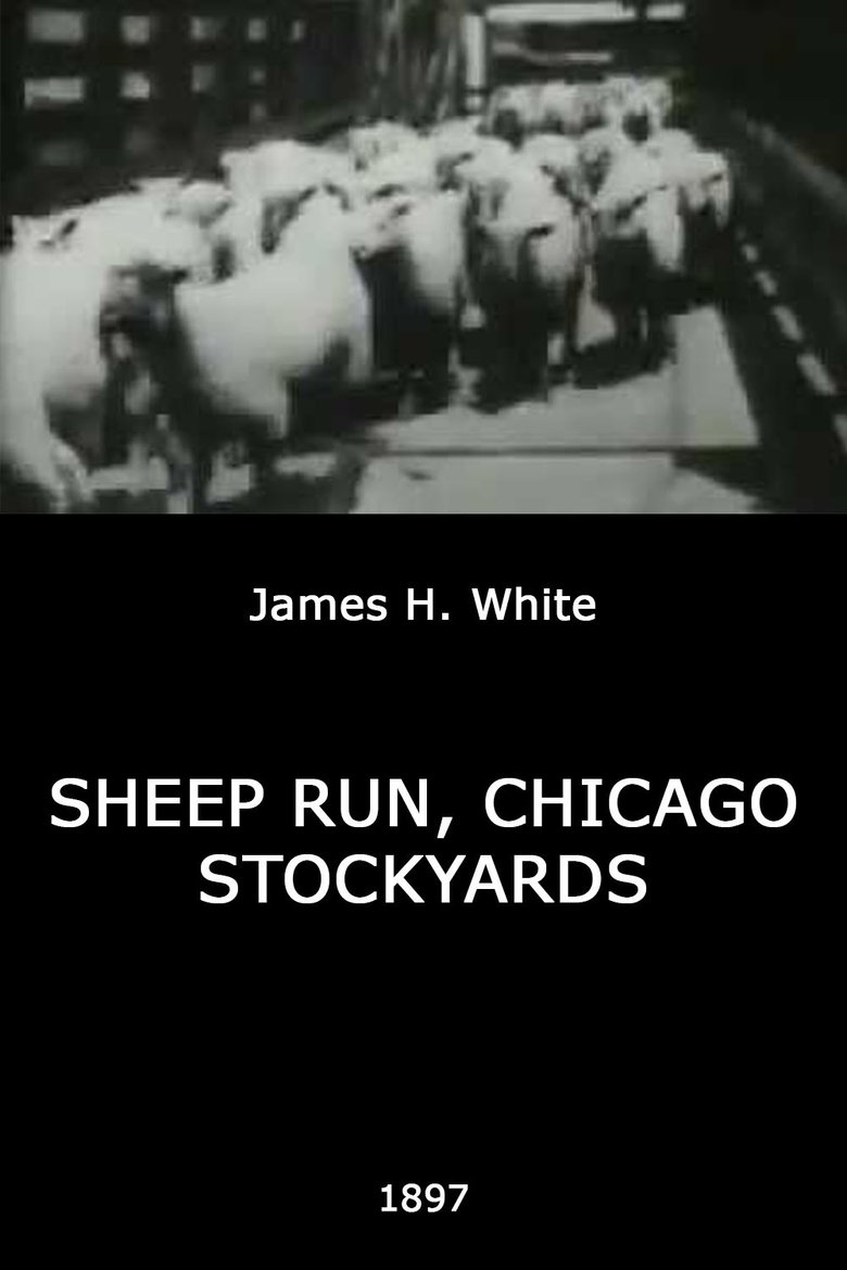 Sheep Run, Chicago Stockyards main poster