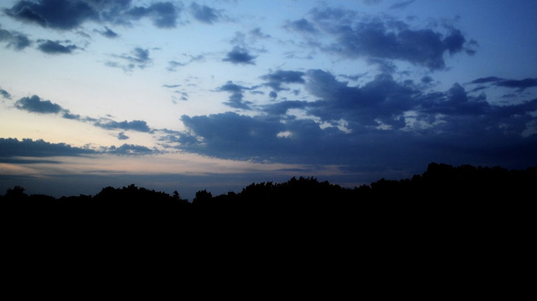Gallery image from cvAi7YDpt9wPV8v2rHvFv6qzSny.jpg