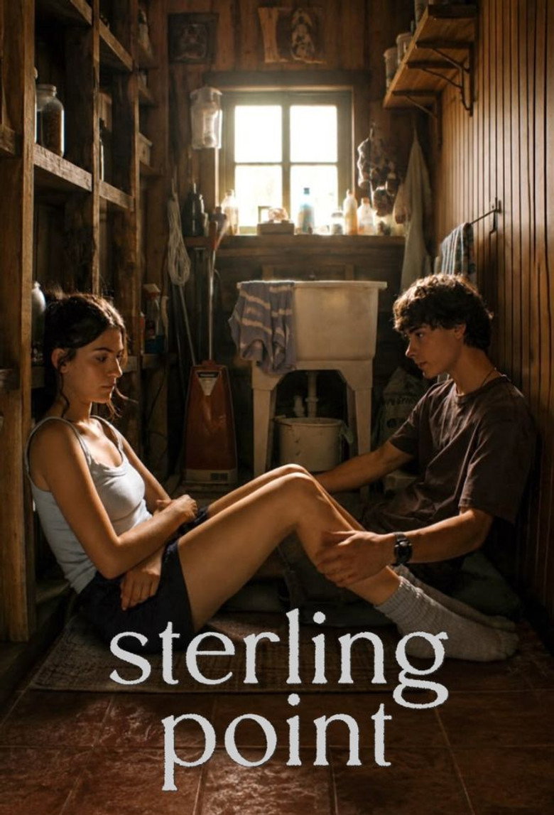 Póster la Serie