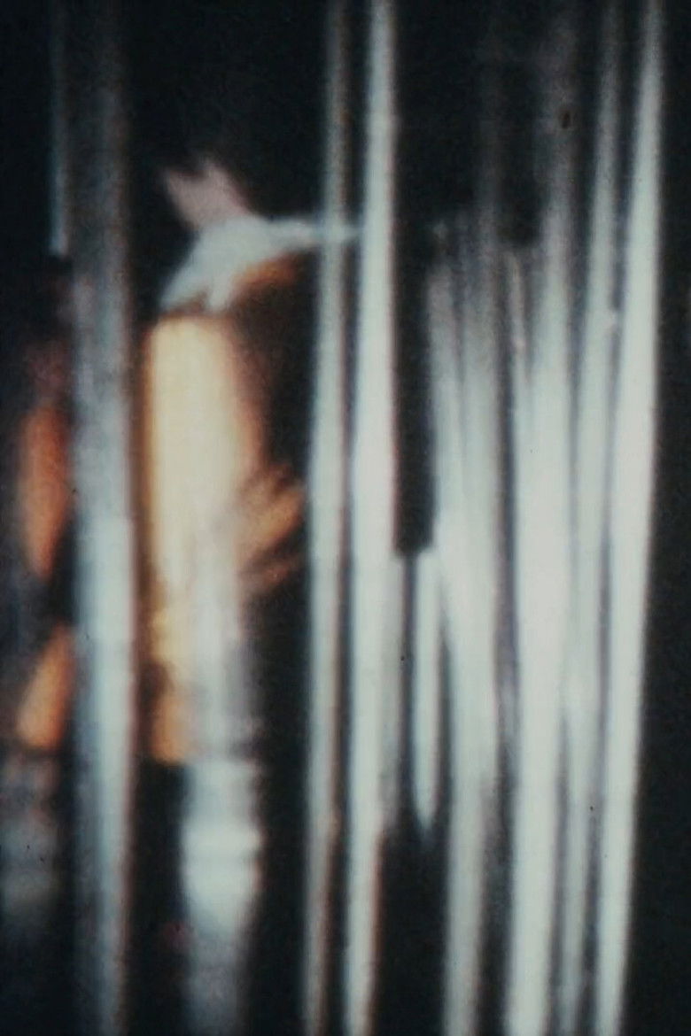 Imatge de Spring Has Come