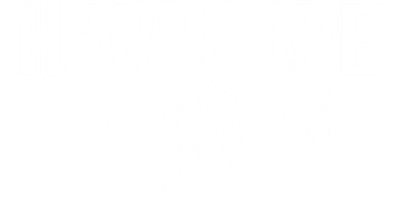 Imagen de Hardcore: Misión extrema