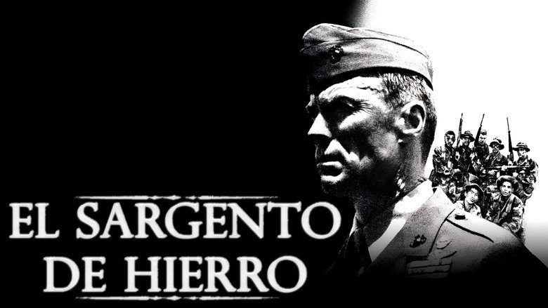Film backdrop