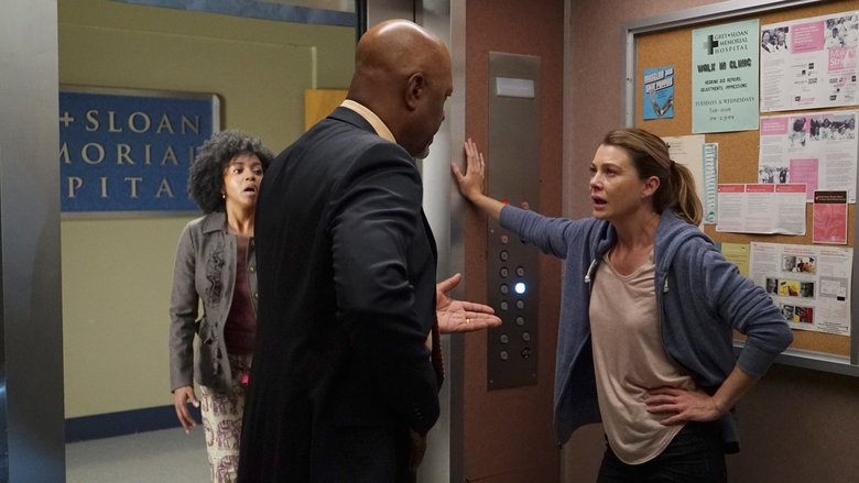 Greys Anatomy En Streaming Saison 13 Grey's Anatomy saison 13 épisode 1 en streaming Vostfr et vf