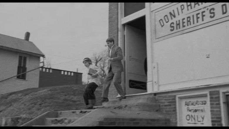 Gallery image from cwrDGDQ7lvmsKmubUjij0z3EasP.jpg