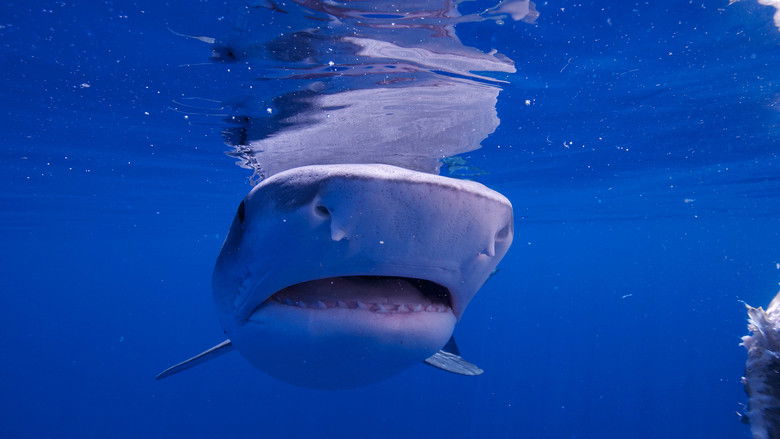 Still image for Earth: A New Wild season 1 episode 4: Oceans Still image for Earth: A New Wild season 1 episode 4: Oceans