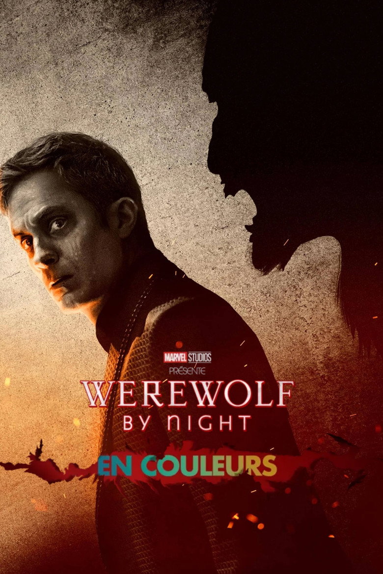 Póster la Película