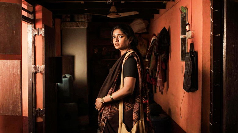 Gallery image from cxVs38rRXjOwg5f9rRKoZjFkyax.jpg