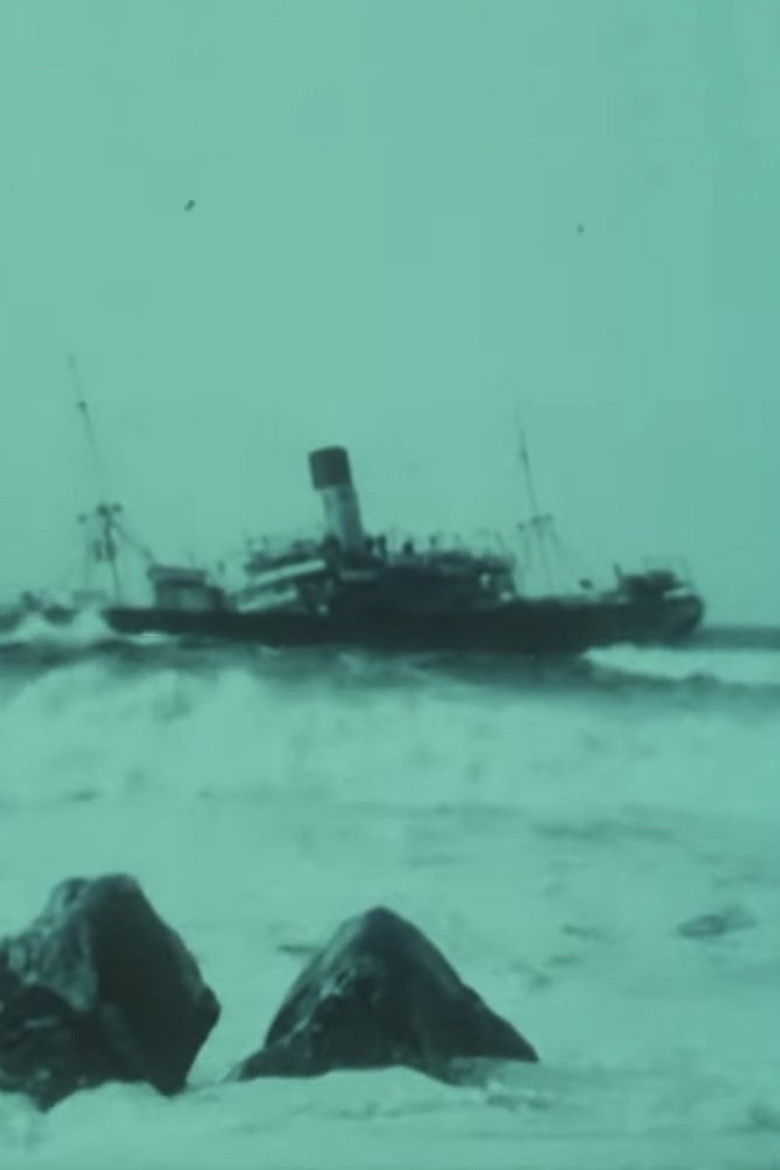 Imatge de O Naufrágio do Veronese