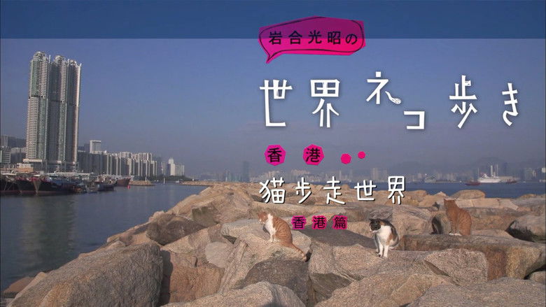 Still image for Mitsuaki Iwago's World “Cats” Travelogue season 1 episode 48: Hong Kong Still image for Mitsuaki Iwago's World “Cats” Travelogue season 1 episode 48: Hong Kong