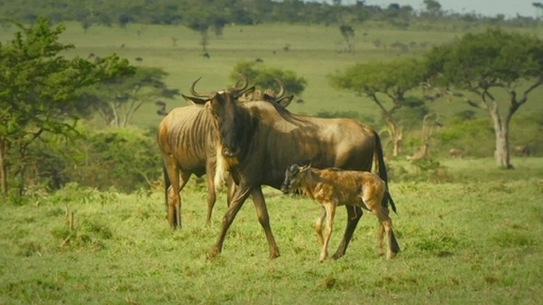 Still image for 森林女王 season 1 episode 7: Episode 7
