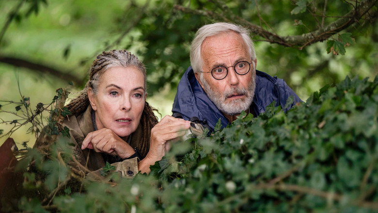 Image d'arrière-plan 2 du film Demain, je tombe amoureux