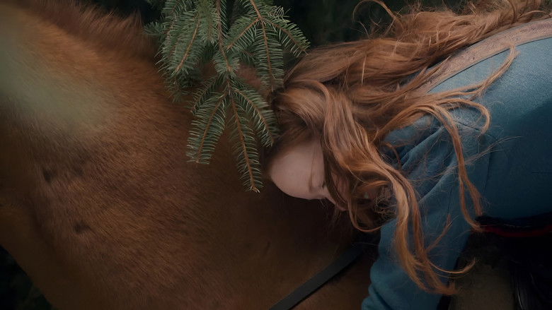 Gallery image from d0YCBlPTecJPn2PdCofT2XSD4XD.jpg