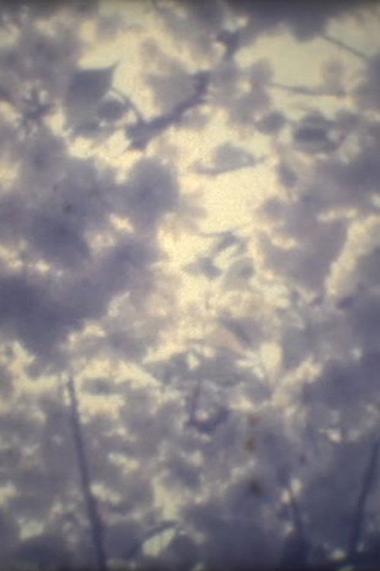 Imatge de 銀河鉄道の夜