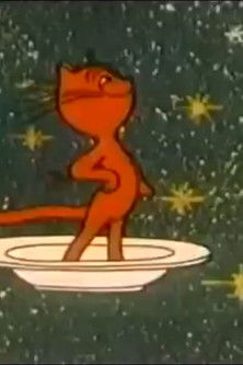 A cat in space