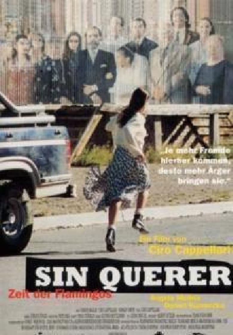 Sin querer (1997)