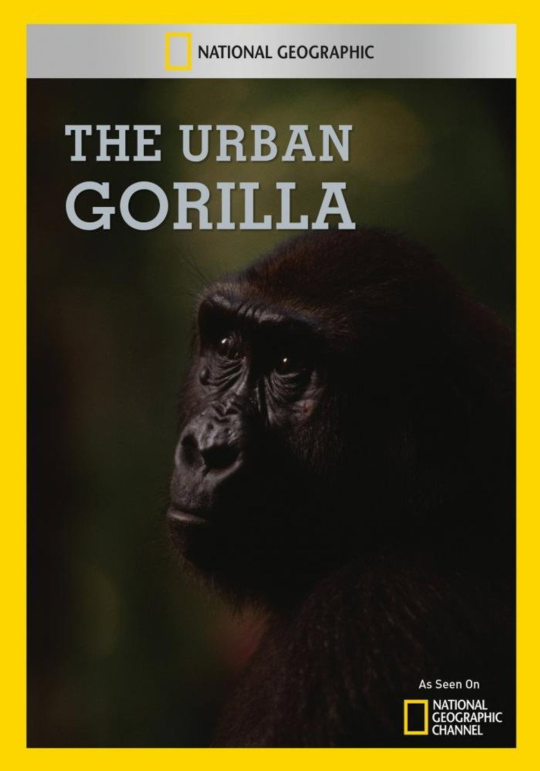 The Urban Gorilla background