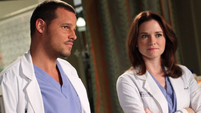 Ver Anatomia De Grey Castellano Online
