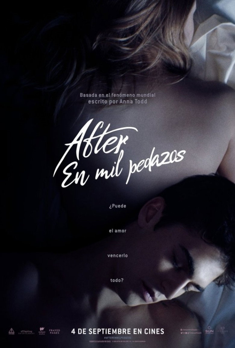 Póster la Película