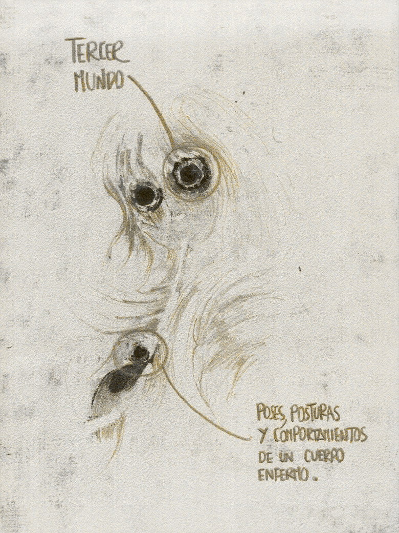 Imatge de Tercer Mundo