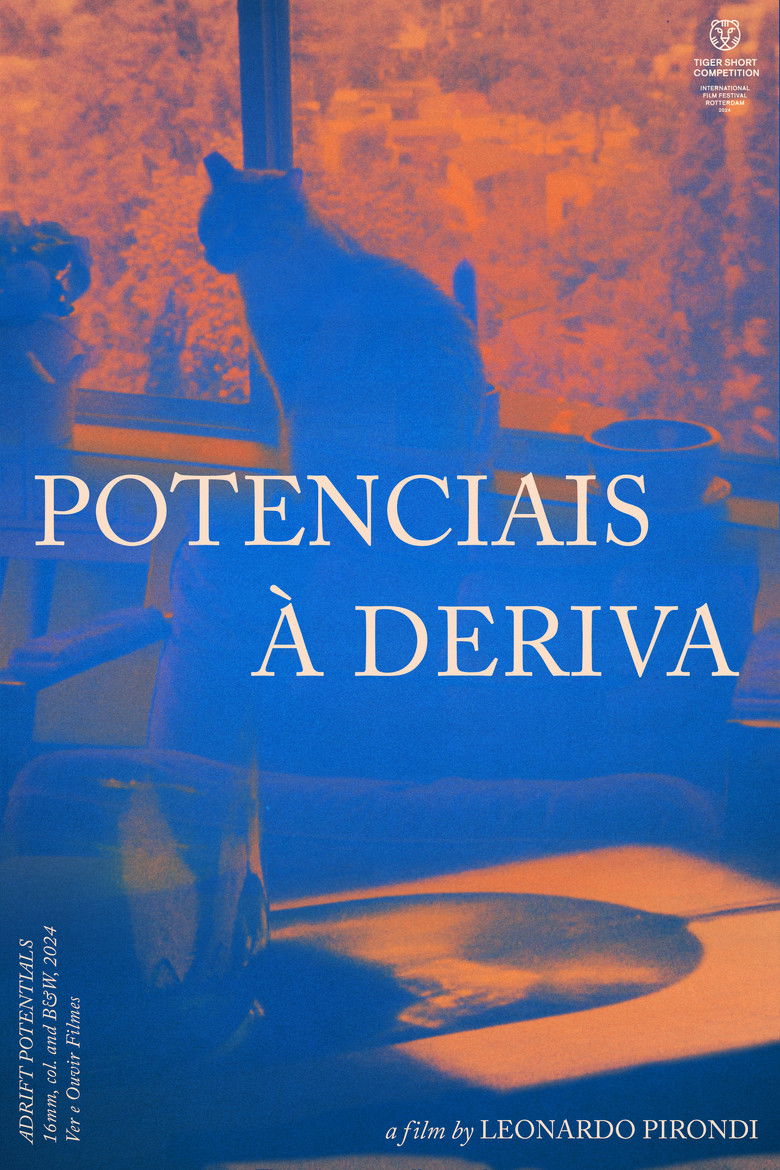 Imatge de Potenciais à Deriva