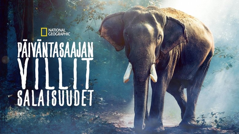 Gallery image from d2mZXQ89UYYEUMBe0uFIrLDOwuL.jpg