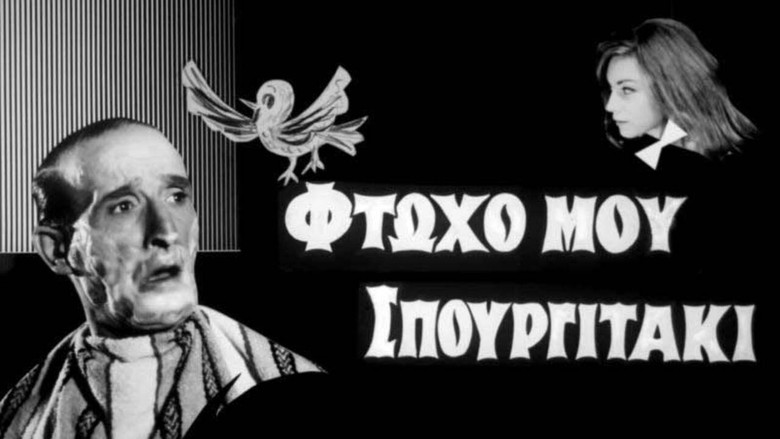 Φτωχό μου σπουργιτάκι