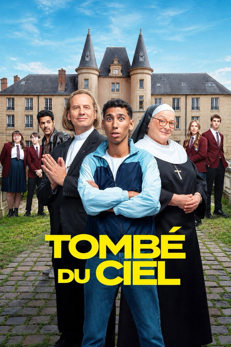Tombé du ciel poster
