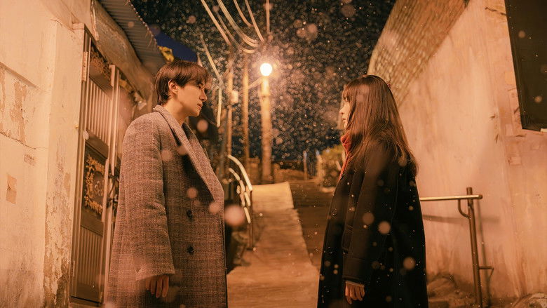 Typhoon Family (2025)