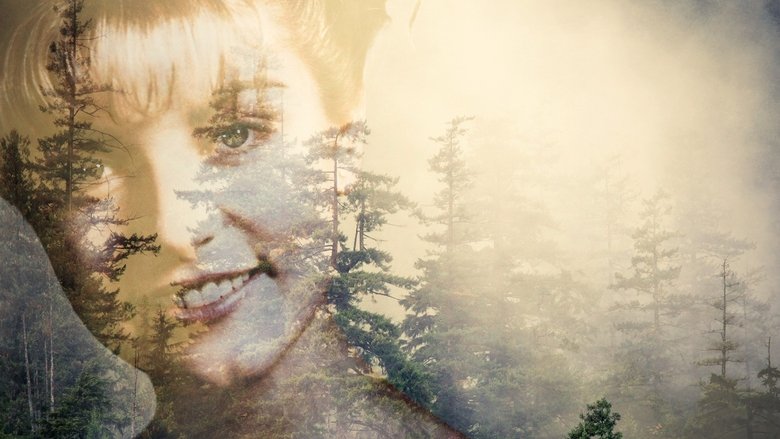 Voir Twin Peaks en streaming sur streamizseries.com | Series streaming vf