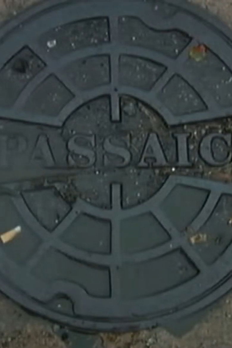 Imatge de Passaic Mosaic