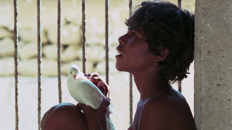 Gallery image from d8Td0y0as4pmEJVBzwqrBKMRwAM.jpg